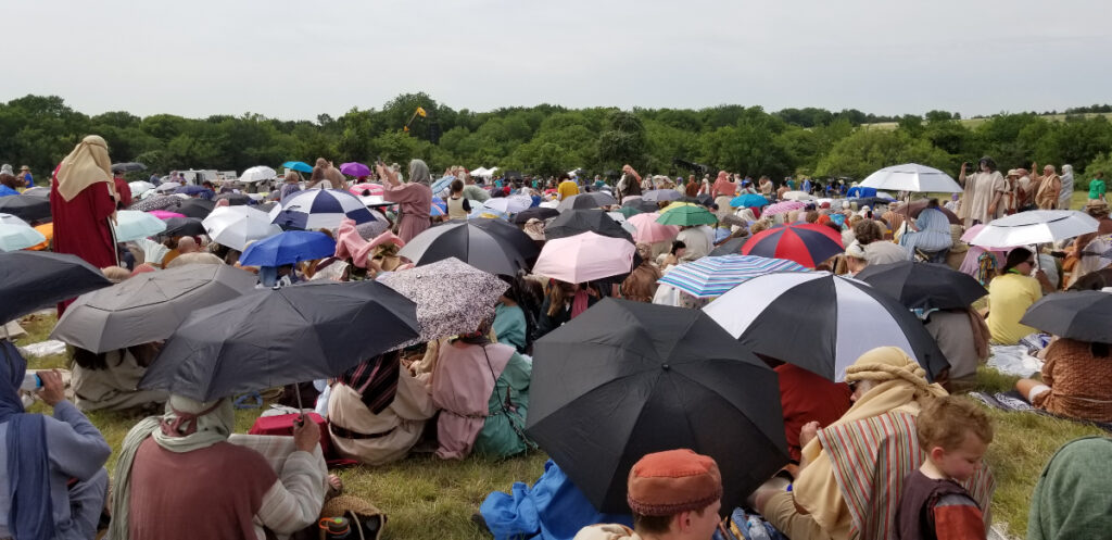 Sea of Umbrellas