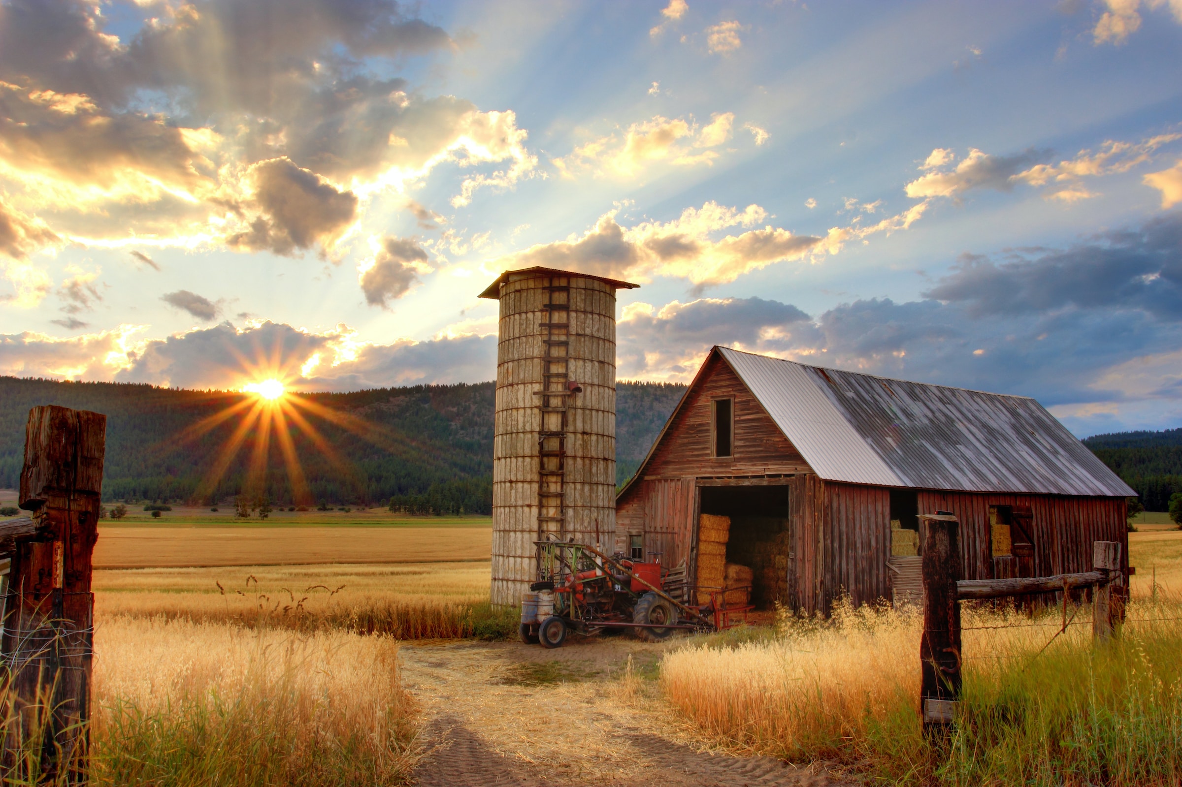 Country Morning